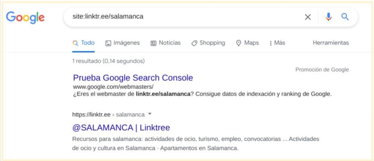 Indexación en Google de linktr.ee/salamanca con Omega Indexer